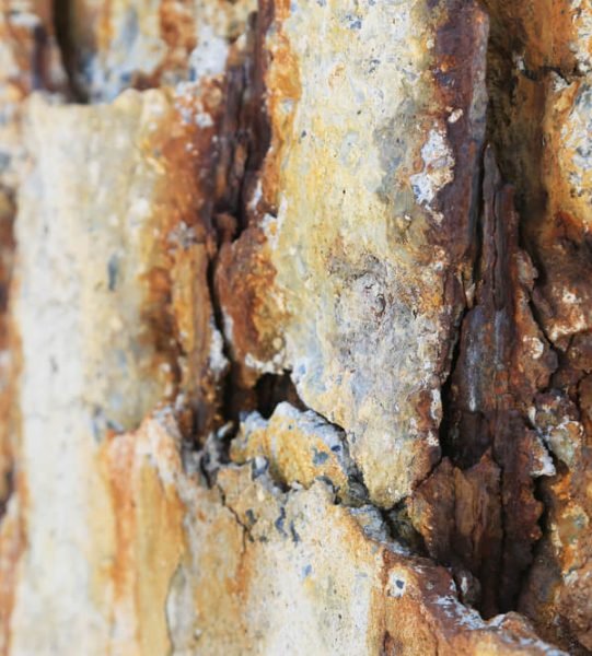 Protective Coating Root Cause Analysis