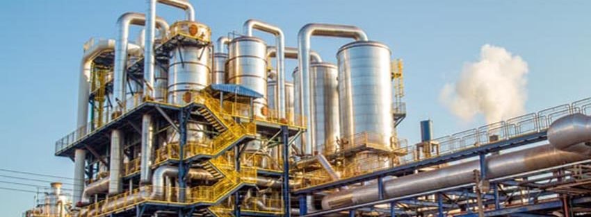 Plant Structure Paint Fading