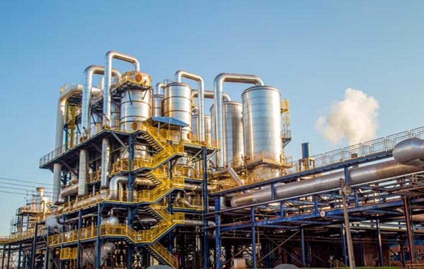 Plant Structure Paint Fading