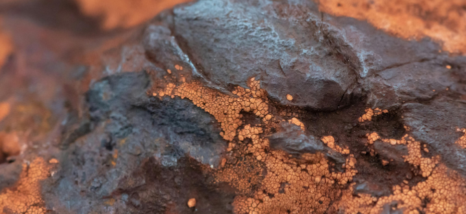 Microbiologically Influenced Corrosion