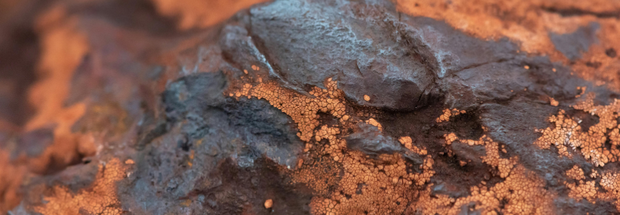 Microbiologically Influenced Corrosion